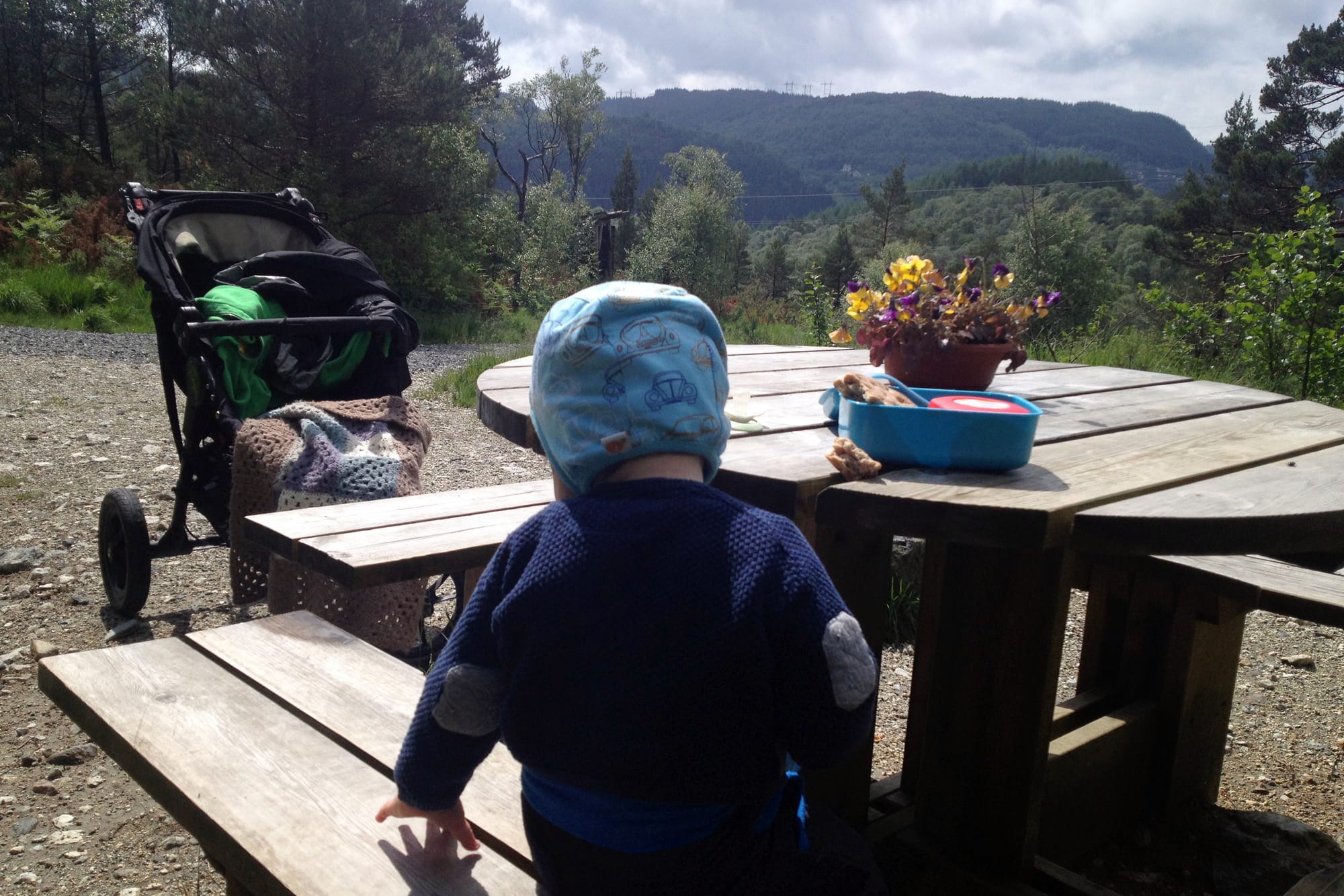 Et barn med blå lue sitter ved et trebord med matboks og blomsterpotte, omgitt av skog og fjell under en overskyet himmel.