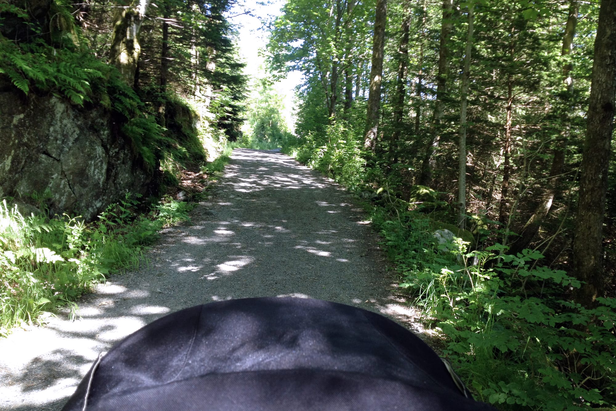 Utsikt fra en barnevogn på en skyggefull grusvei omgitt av tett skog, med sollys som bryter gjennom trekronene.