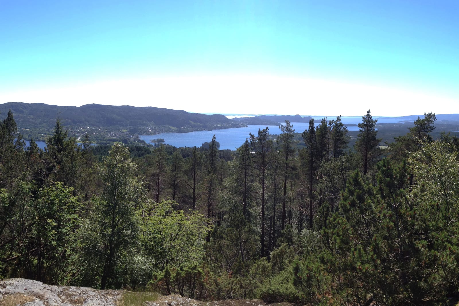 Utsikt over en skogkledd åsside mot en blå innsjø, omgitt av lave fjell og horisont under en klar, solfylt himmel.